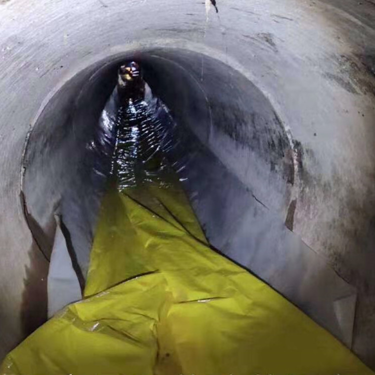 大渡口管道光固化修复